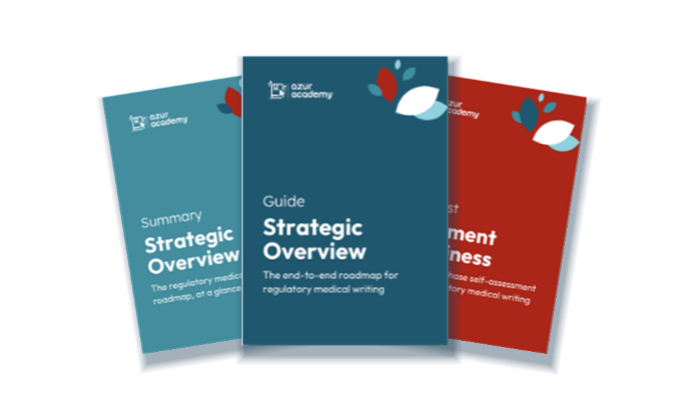 Strategic Overview Masterclass
